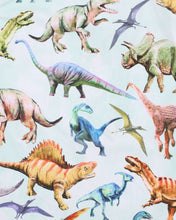 Load image into Gallery viewer, Rex Aqua Nappy