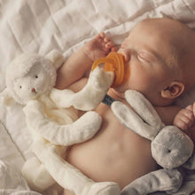 Load image into Gallery viewer, Silly Buddy - Lamb