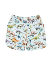 Load image into Gallery viewer, Rex Print Board Shorts