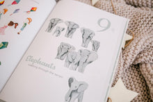 Load image into Gallery viewer, The Amazing 123