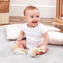 Load image into Gallery viewer, Peter Rabbit Booties
