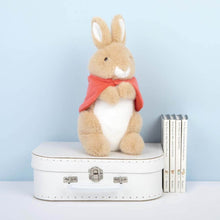 Load image into Gallery viewer, Classic Plush - Flopsy 25cm