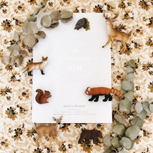 Load image into Gallery viewer, The Amazing ABC