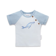 Load image into Gallery viewer, Whale Print Raglan Tee