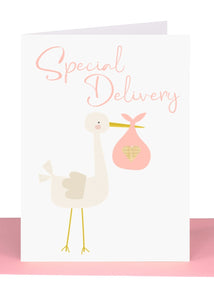Baby Greeting Card Girls - Large