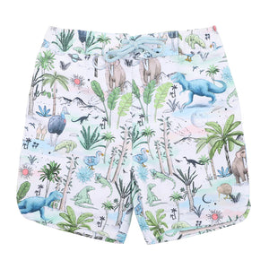 Brody Boardshorts