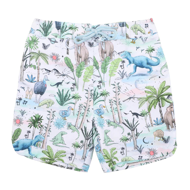 Brody Boardshorts