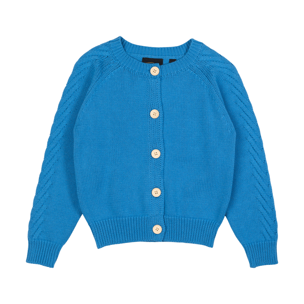 Blue Knit Cardigan