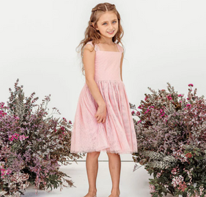 Emmy Flocked Spot Dress