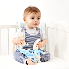 Load image into Gallery viewer, Peter Rabbit Rattle &amp; Comforter Gift Set