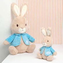 Load image into Gallery viewer, Super Soft Peter Rabbit - Extra Large 40cm