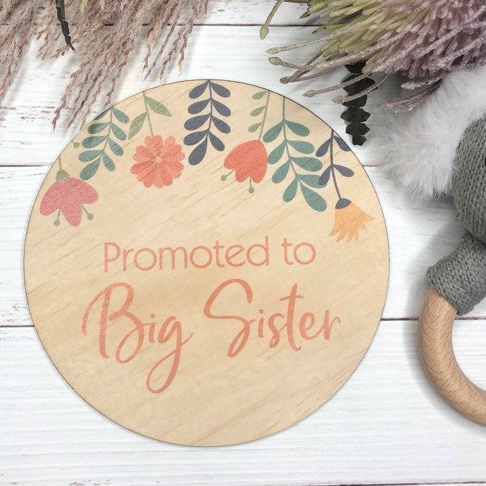 Promoted To Announcement Disc - Big Sister